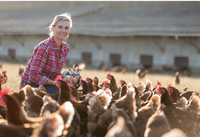 20 best chickens for egg laying in missouri
