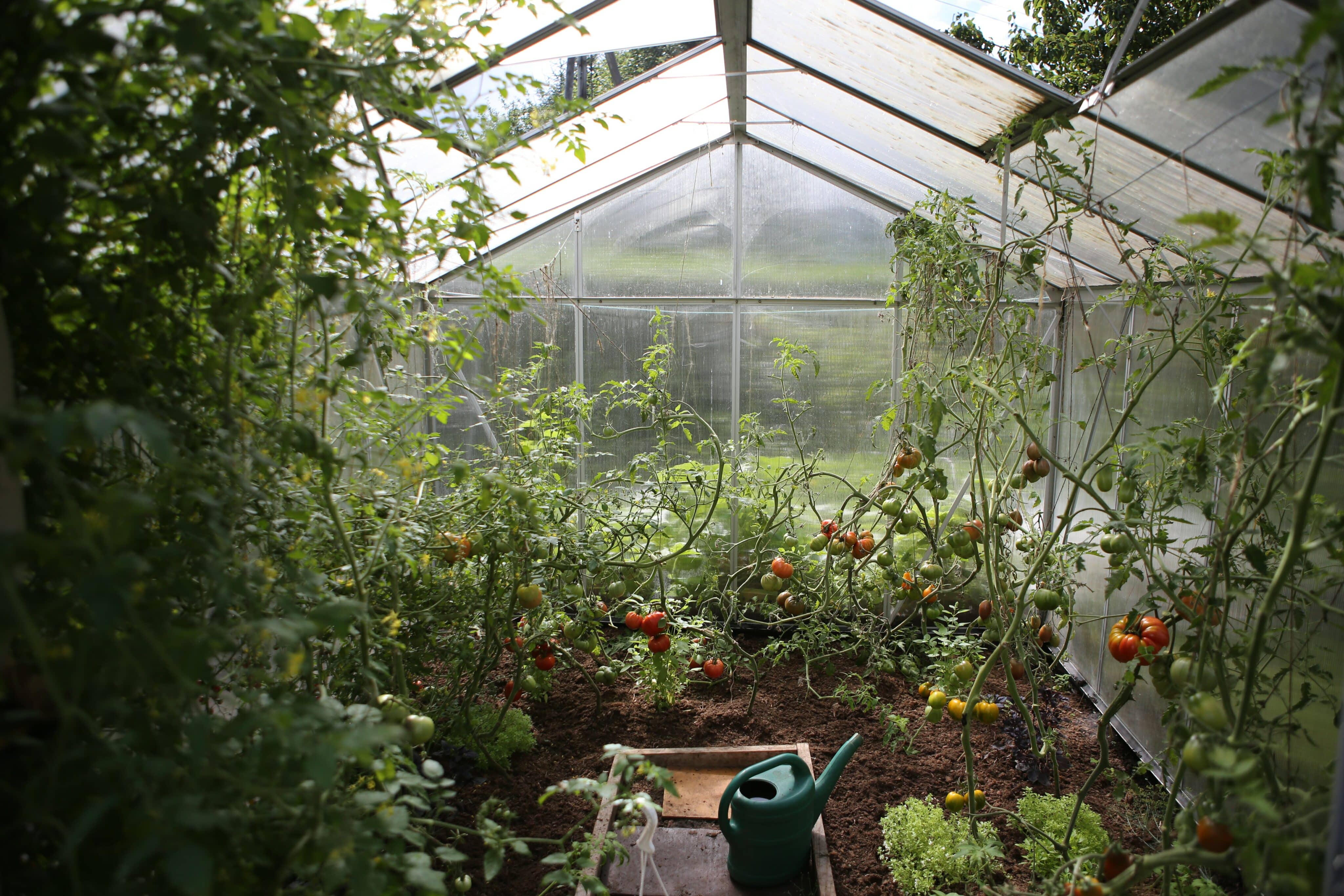 prebuilt greenhouse in missouri