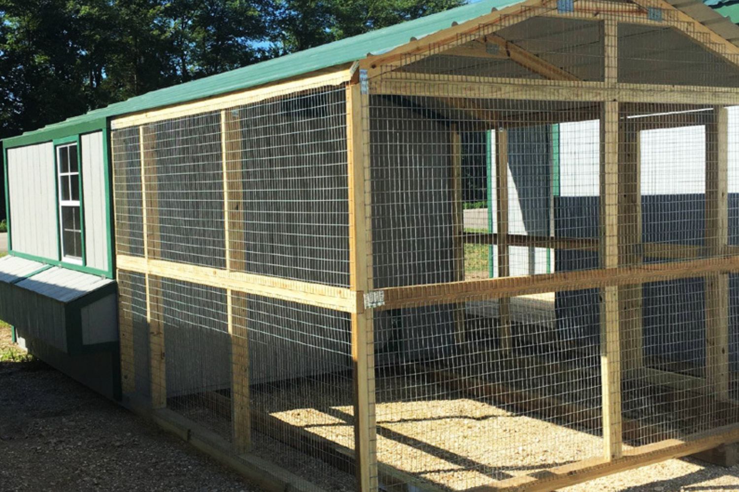 backyard chicken house for sale in versailles mo