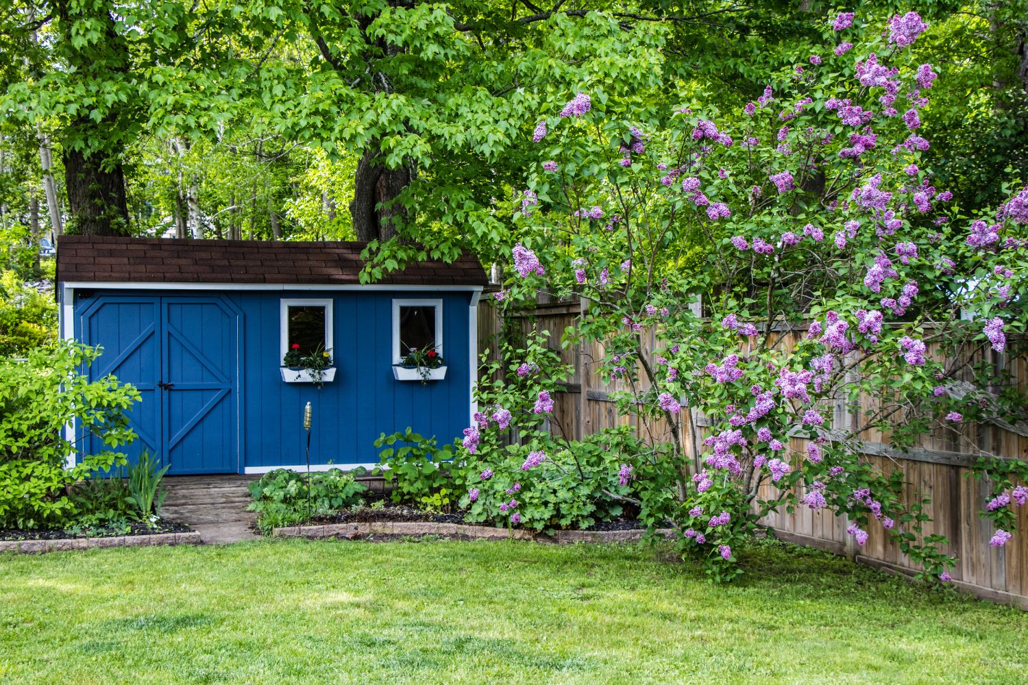backyard mother in law suite 1 