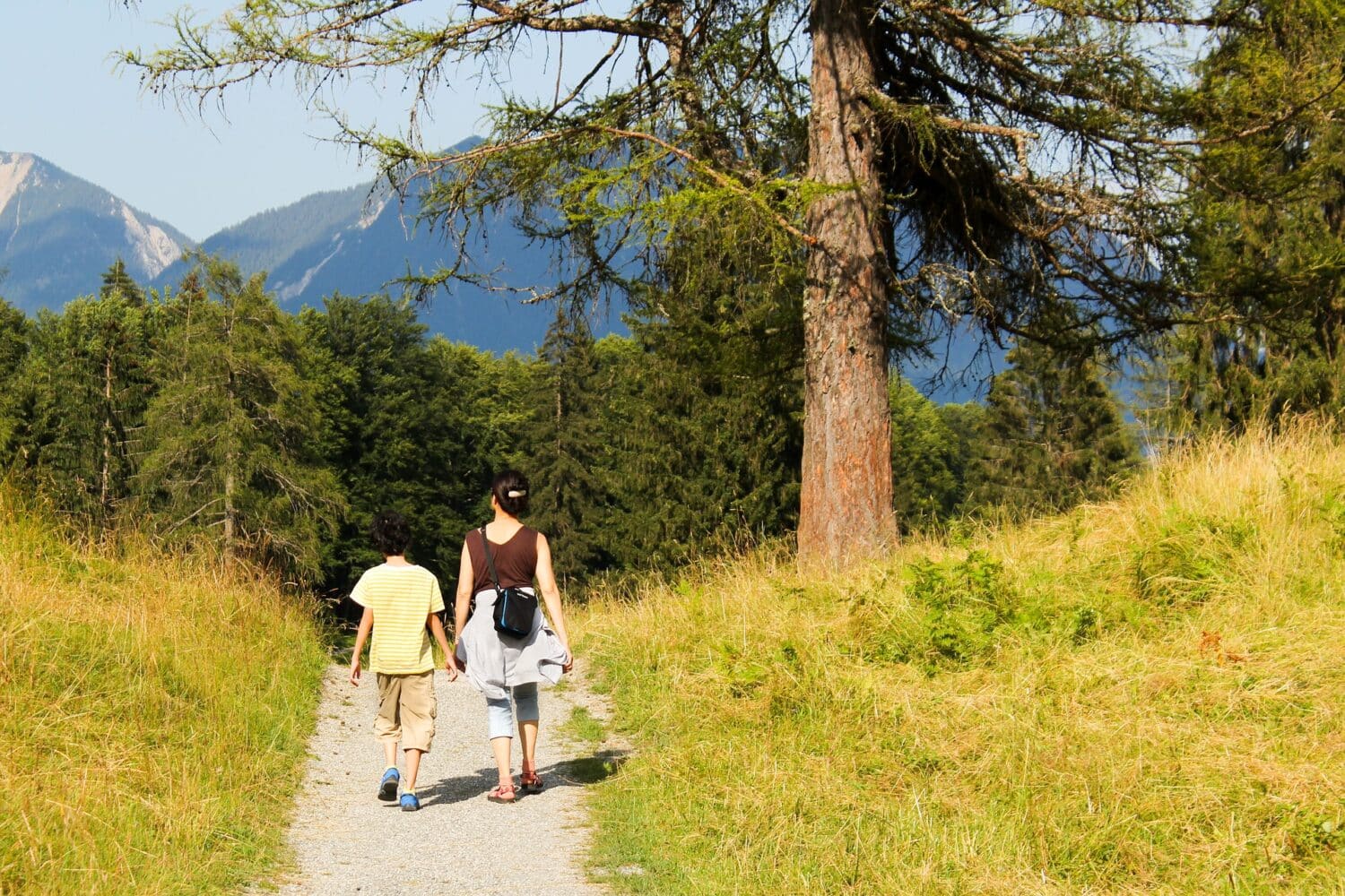 cabin vacations blue ridge mountains