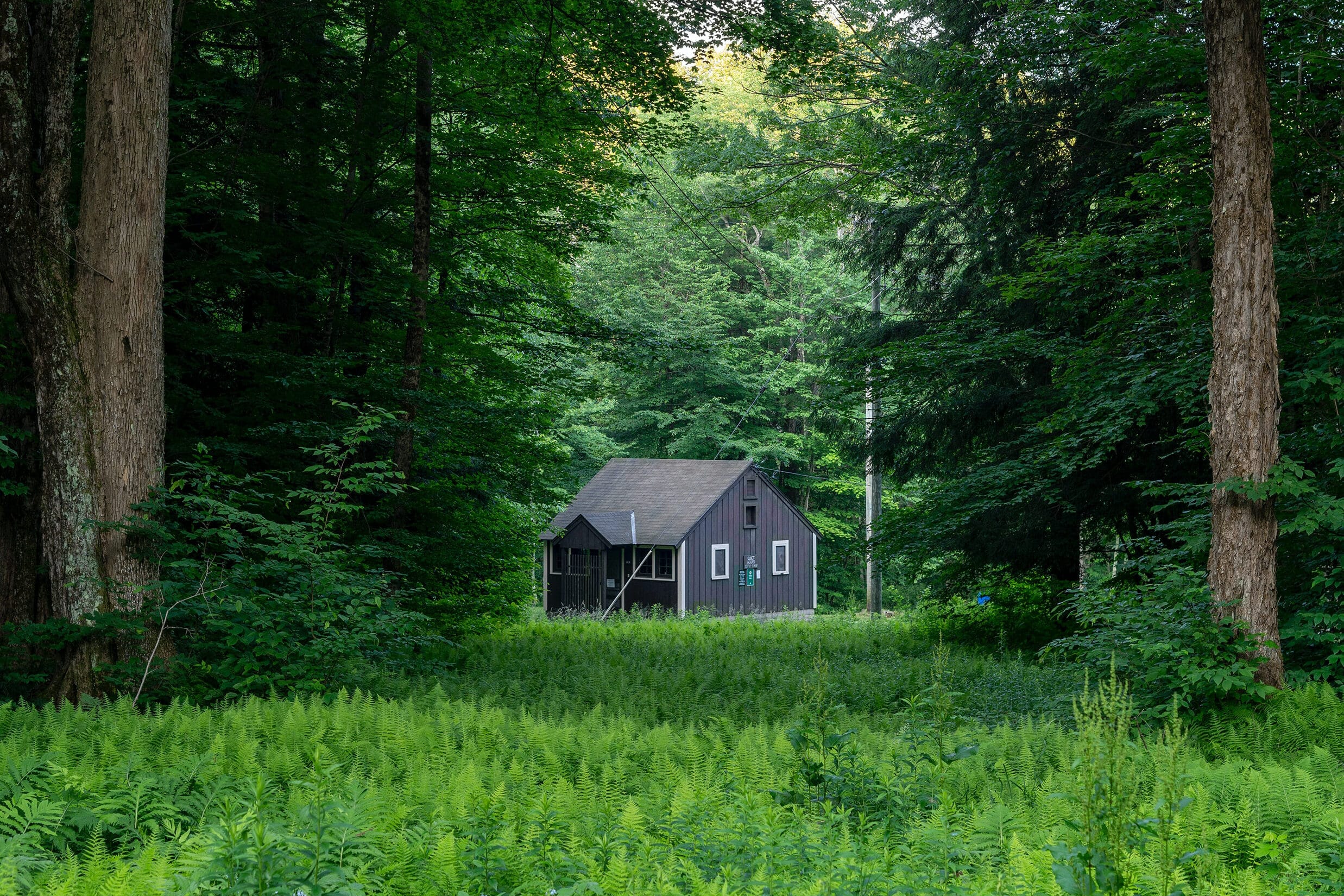 edited cabin vacations red cottage ny