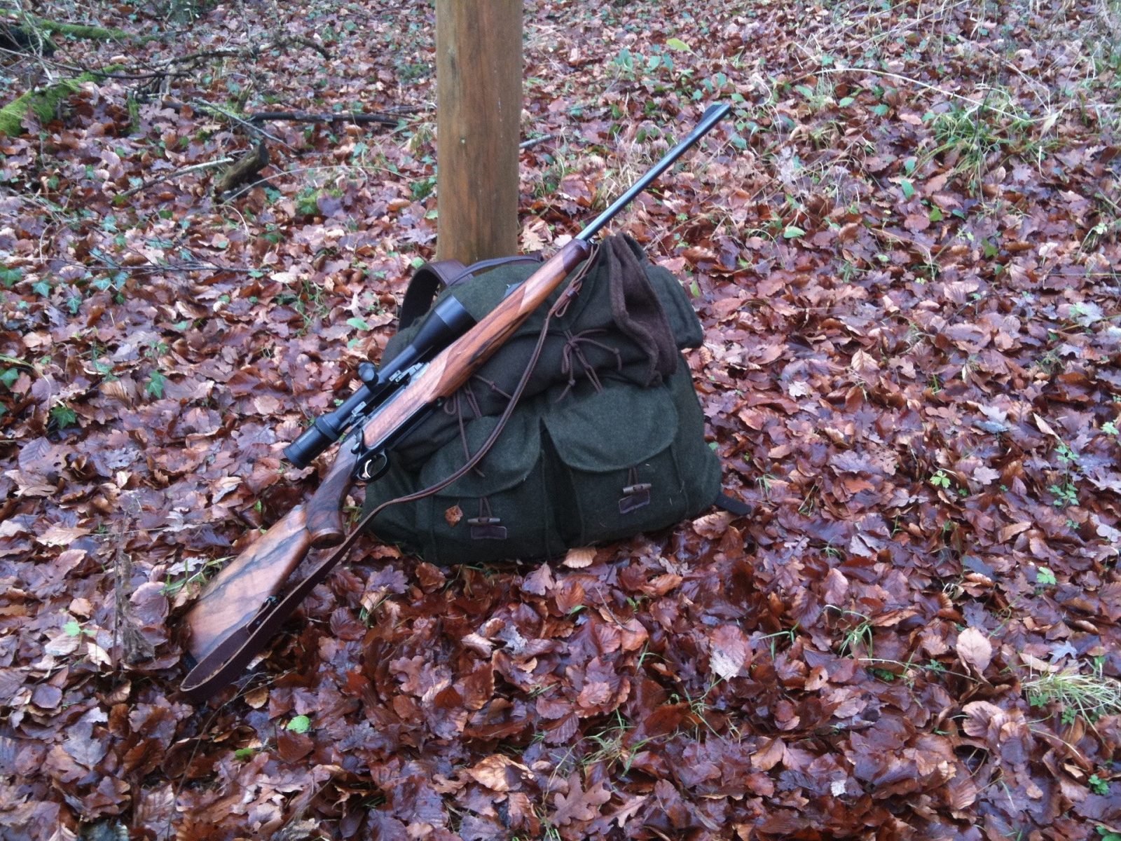 rifle 81661 1920