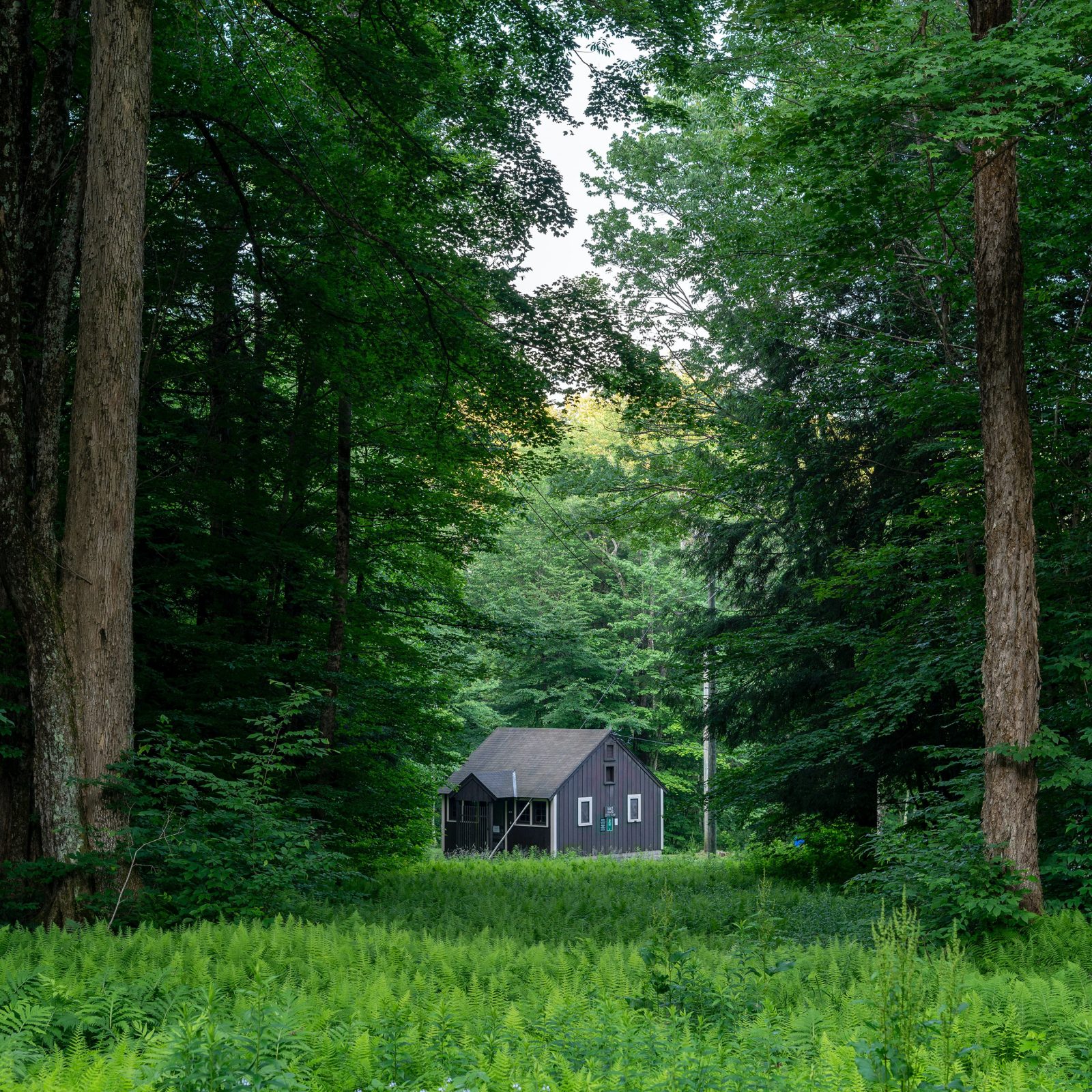 edited cabin vacations red cottage ny