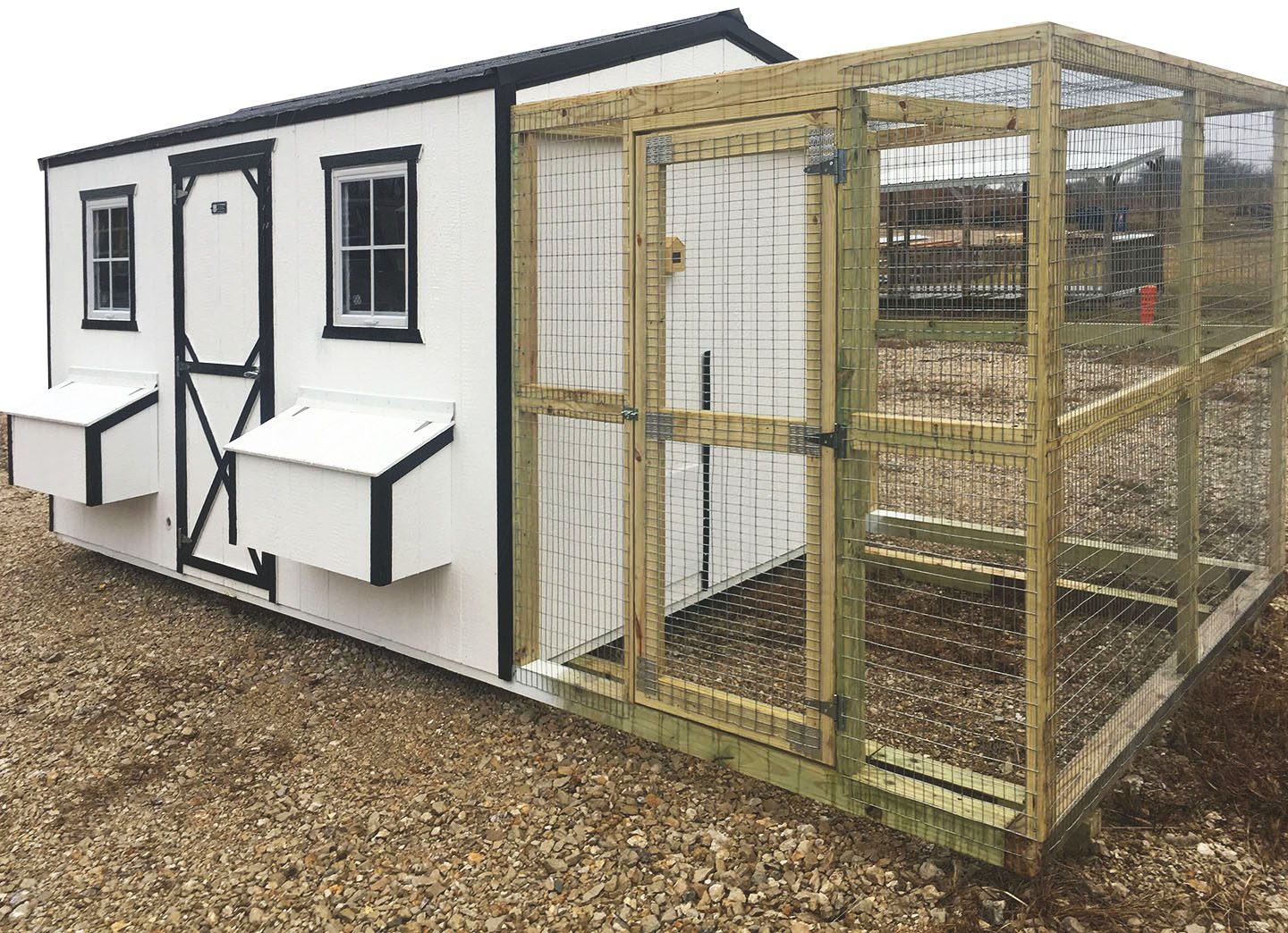chicken coop inside dog kennel
