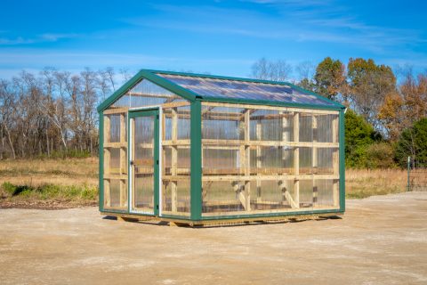 10x12 greenhouse 2
