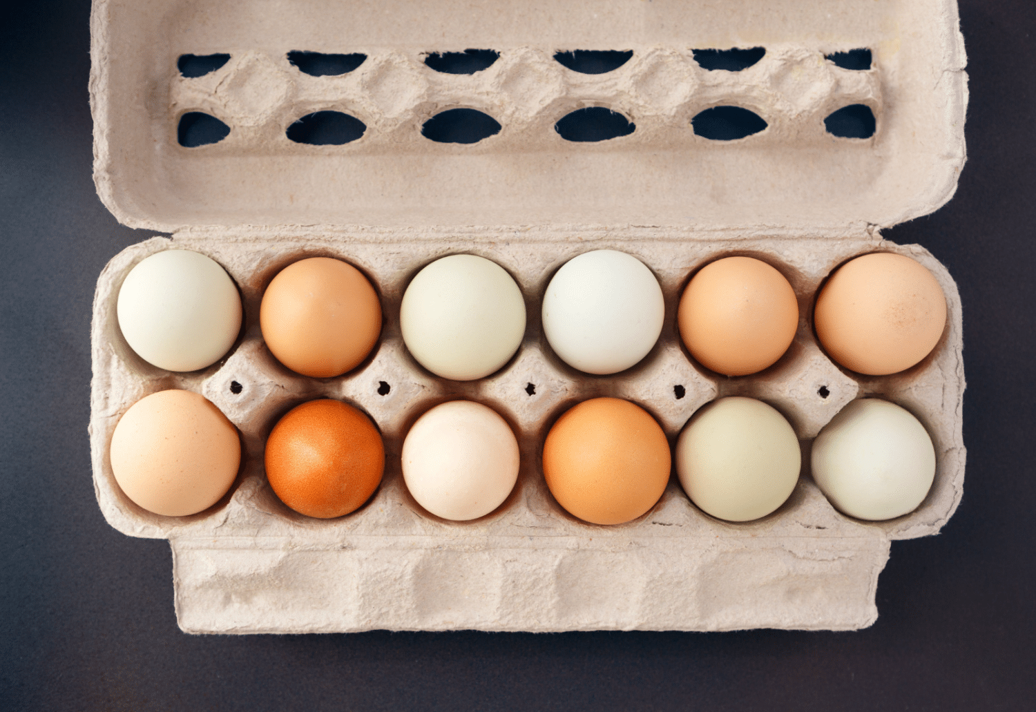 how many eggs does a chicken usually lay in one day
