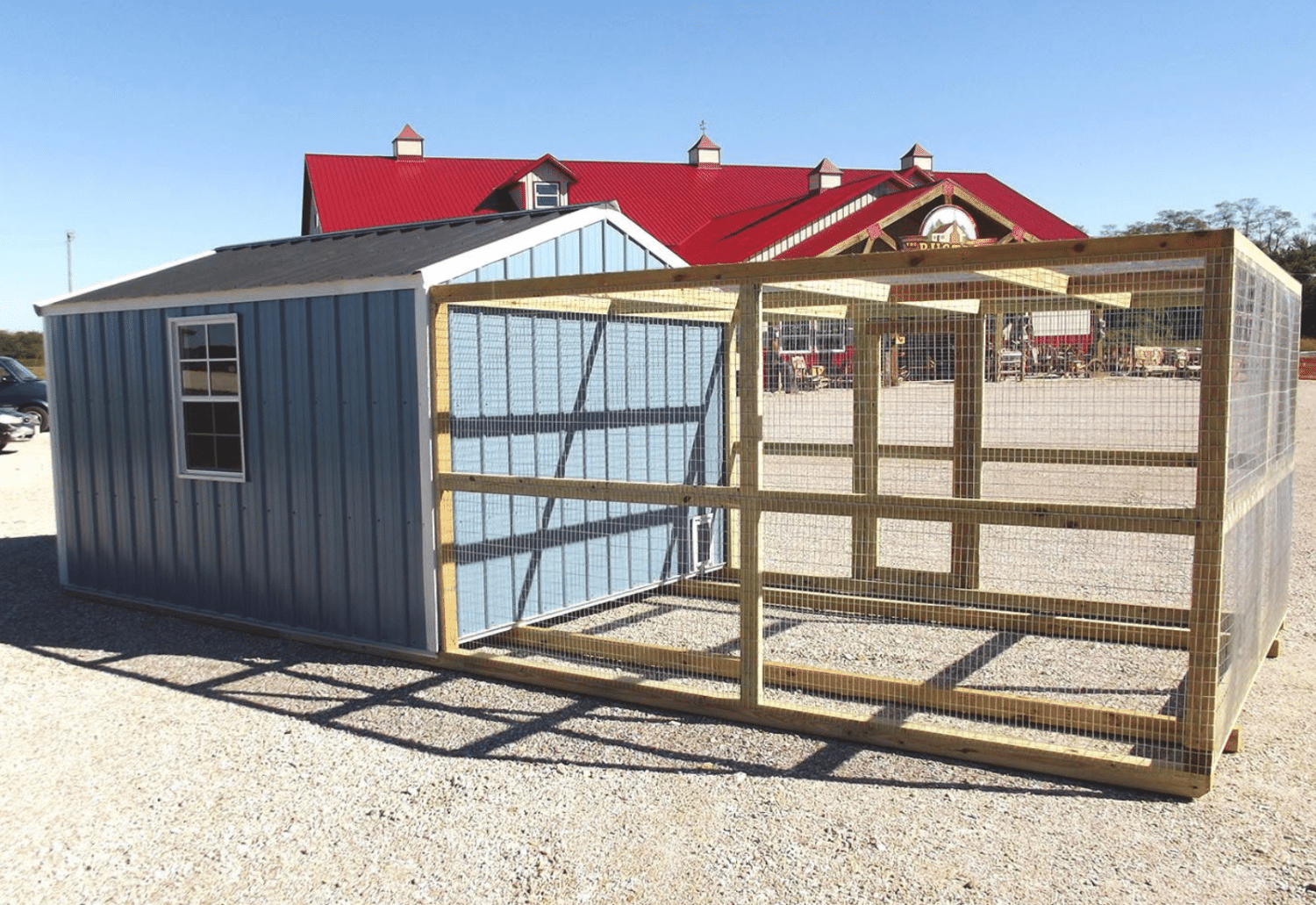 what should laying chickens live in